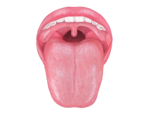 舌癖